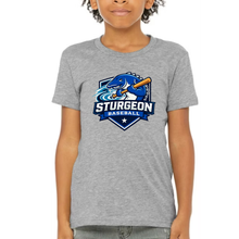 Load image into Gallery viewer, Youth Lakeside Sturgeons Gray- Available in All Styles